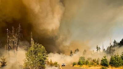 A vegetation fire dubbed Moose Ridge Fire broke out in Reno, Nevada. Image for representational purposes. (Unsplash) A vegetation fire dubbed Moose Ridge Fire broke out in Reno, Nevada. Image for representational purposes. (Unsplash)