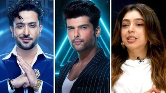 Exclusive | Niti Taylor: Kushal Tandon and Aly Goni were the masterminds