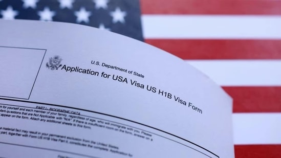 An expanded social media vetting has led to visa appointment scheduling delays. Image for representational purposes. 