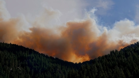 A fire was reported in Mount Lemmon, Arizona. Image for representational purposes.