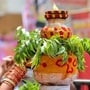 తెలంగాణ బోనాలు: అనాదిగా వస్తున్న ఈ పవిత్ర సంప్రదాయం వెనుక అసలు రహస్యం ఏంటి?