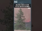 British Columbia Declares State of Emergency as Fast-Moving Wildfire Forces 20,000 to Flee