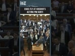 Kosovo Parliament Erupts as Opposition MP Throws Eggs at Acting PM Albin Kurti