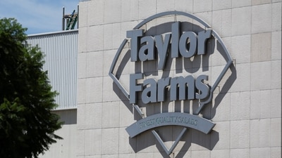 A new FDA report reveals 236,192 Taylor Farms lettuce cases and the major brands connected to the recall.. REUTERS/Daniel Becerril (REUTERS)