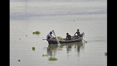 The Himachal Pradesh government has introduced a scheme to strengthen post-harvest infrastructure and cold-chain facilities in the fisheries sector, under which eligible beneficiaries will be provided a 70% subsidy for establishing 5 metric tonne cold storages, freeze-dry units and refrigerated vans across the state, officials said on Sunday. (PTI File)