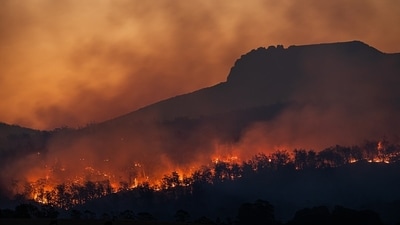 A vegetation fire was reported near Gardnerville in Douglas County, Nevada and dubbed the Double Spring Fire. Image for representational purposes. (Unsplash) A vegetation fire was reported near Gardnerville in Douglas County, Nevada and dubbed the Double Spring Fire. Image for representational purposes. (Unsplash)