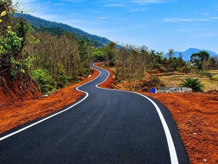 అడవితల్లి బాట
