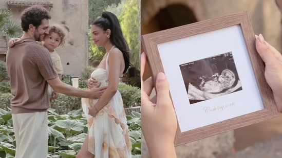Alanna Panday announced second pregnancy.