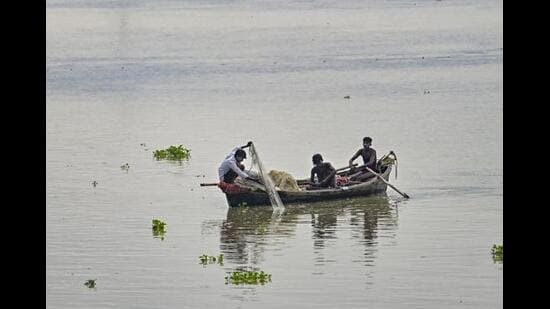 The Himachal Pradesh government has introduced a scheme to strengthen post-harvest infrastructure and cold-chain facilities in the fisheries sector, under which eligible beneficiaries will be provided a 70% subsidy for establishing 5 metric tonne cold storages, freeze-dry units and refrigerated vans across the state, officials said on Sunday. (PTI File)