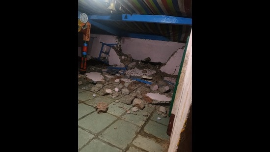 Tremors were felt in Nashik city and Peth, Kalwan, Surgana, Niphad, Dindori, Deola and Chandwad talukas. (HT)