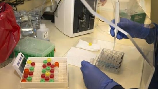 Beijing’s 1,000 talents and Qiming schemes were designed to attract Chinese-origin scientists and innovators to return and work in China.(HT Archive)