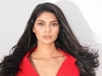 The accused allegedly spotted Lopamudra Raut’s Santacruz residence during a recce and later returned when he found an opportunity to break in, police said.