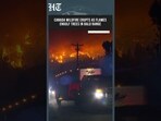 On Cam: Bald Range Wildfire Races Through Canadian Forest, Engulfing Trees