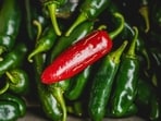 Taylor Farms recalls 20 jalapeno products as a Salmonella outbreak linked to jalapenos (Pexel/Representative image)(Pexel)