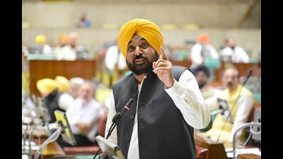 Punjab chief minister Bhagwant Mann addressing the House on the last day of monsoon session on Monday. (Ravi Kumar/ HT) Punjab chief minister Bhagwant Mann addressing the House on the last day of monsoon session on Monday. (Ravi Kumar/ HT)
