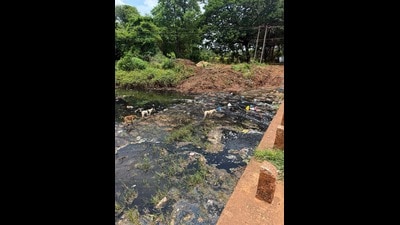 Residents alleged that the foul-smelling effluents spurred illnesses in areas near the riverbanks. (HT PHOTO) Residents alleged that the foul-smelling effluents spurred illnesses in areas near the riverbanks. (HT PHOTO)