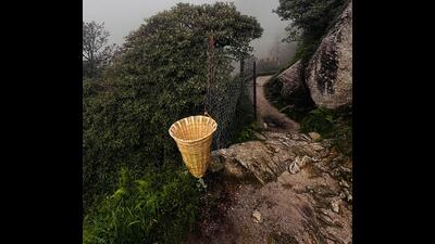 Triund is among the most popular beginner-level treks in Himachal and attracts thousands of domestic and international trekkers every year. (HT Photo) Triund is among the most popular beginner-level treks in Himachal and attracts thousands of domestic and international trekkers every year. (HT Photo)