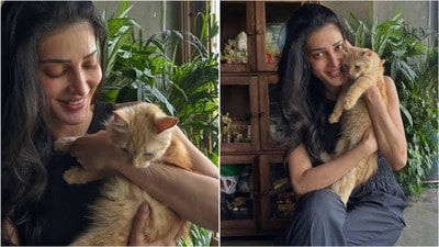‘সবচেয়ে কঠিন সিদ্ধান্ত…’, চার মাসেই পোষ্য বিড়ালকে কোল ছাড়া করলেন শ্রুতি, কেন? (Instagram/@shrutzhaasan)