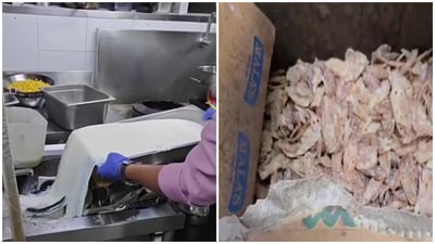 All the meat and beef recovered at Bengaluru Skyye lounge was reportedly rotten with fungus. (Screengrab/X/@ANI)