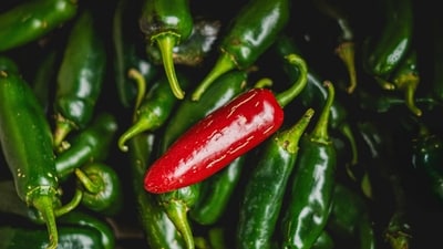 Taylor Farms recalls 20 jalapeno products as a Salmonella outbreak linked to jalapenos (Pexel/Representative image) (Pexel) Taylor Farms recalls 20 jalapeno products as a Salmonella outbreak linked to jalapenos (Pexel/Representative image) (Pexel)
