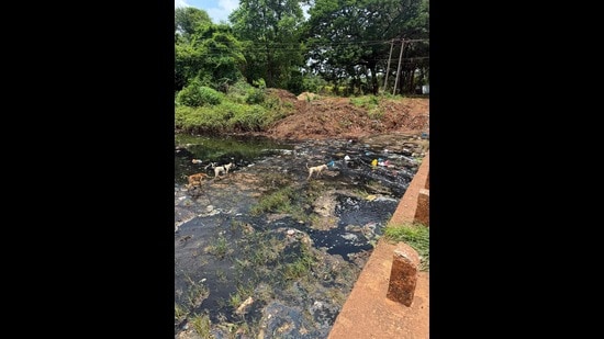 Residents alleged that the foul-smelling effluents spurred illnesses in areas near the riverbanks. (HT PHOTO)