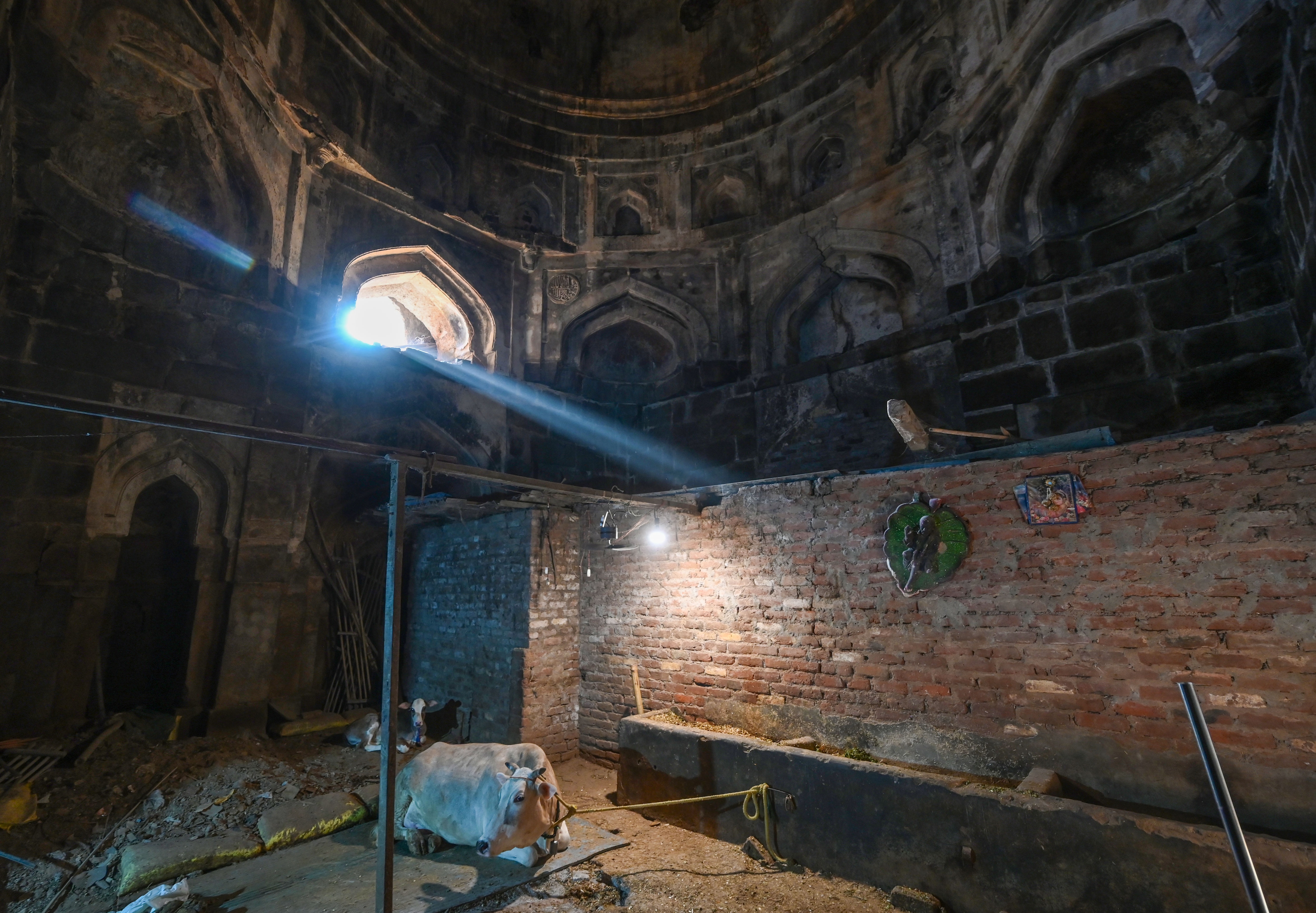 Inside, the tomb is now also home to a cattle shed. (Sanchit Khanna/HT photo) Inside, the tomb is now also home to a cattle shed. (Sanchit Khanna/HT photo)