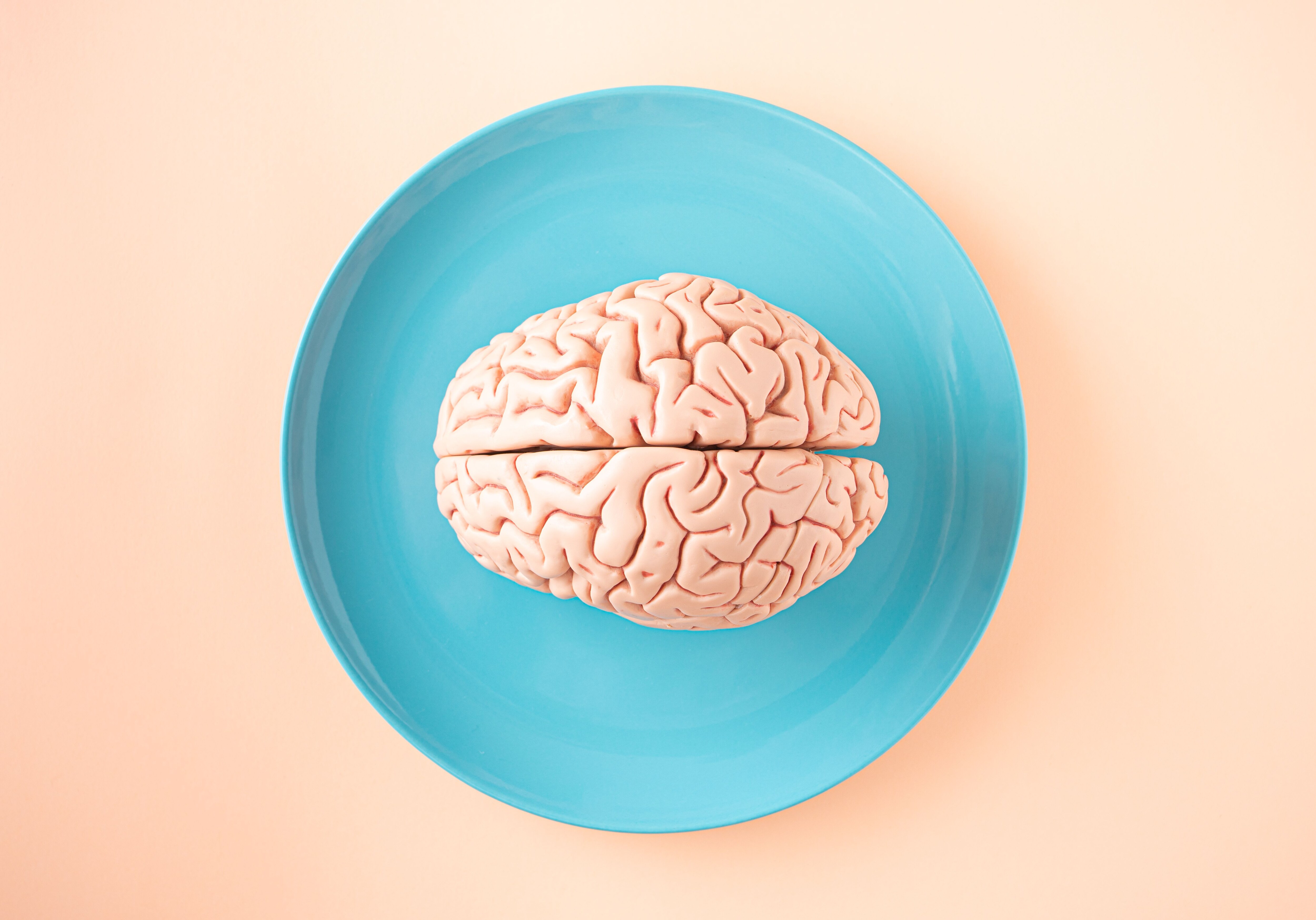 The brain needs nutrients to function. What you put on your plate affects your brain function. (Pexel)