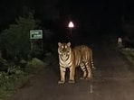 Four camera traps have been installed in the forest where the tiger was last seen, but no images of the animal have been captured over the past two days. (HT Sourced Photo)