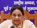 Bahujan Samaj Party (BSP) National President Mayawati asked the younger generation to not get caught up in politics.