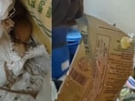 One of the videos showed torn packaging for a food item.