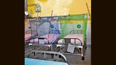 A dengue ward at the civil hospital in Ludhiana on Tuesday. (Gurpreet Singh/ht) A dengue ward at the civil hospital in Ludhiana on Tuesday. (Gurpreet Singh/ht)