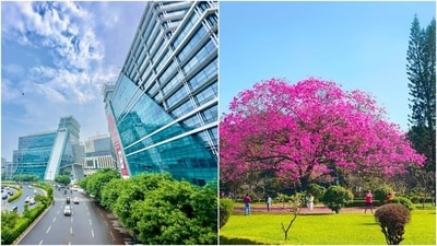 Moving from Gurgaon to Bengaluru isn't just a career upgrade — it's a complete life transition. Suruchi captured this shift 10 months after making the move in an Instagram post. (Pics: dlf.in and Facebook/WhatsHotBangalore) Moving from Gurgaon to Bengaluru isn't just a career upgrade — it's a complete life transition. Suruchi captured this shift 10 months after making the move in an Instagram post. (Pics: dlf.in and Facebook/WhatsHotBangalore)