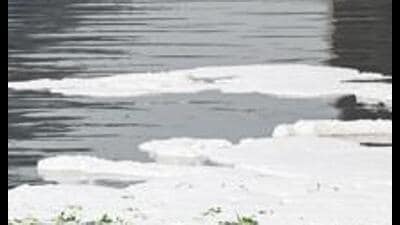 The concern comes as even the relatively cleaner stretch of the Yamuna between Palla and Wazirabad has recorded deterioration in key water-quality parameters, according to monthly reports of the Delhi Pollution Control Committee. (HT) The concern comes as even the relatively cleaner stretch of the Yamuna between Palla and Wazirabad has recorded deterioration in key water-quality parameters, according to monthly reports of the Delhi Pollution Control Committee. (HT)