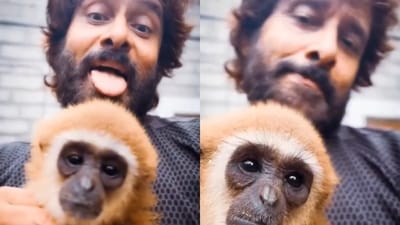 Chiyaan Vikram’s viral gibbon video sparks legal questions; actor deletes post as probe begins. Chiyaan Vikram’s viral gibbon video sparks legal questions; actor deletes post as probe begins.