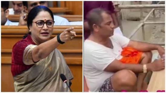 Delhi CM Rekha Gupta slammed AAP MLA Anil Jha Vats. (HT, @Iam_Rohit_G/X)