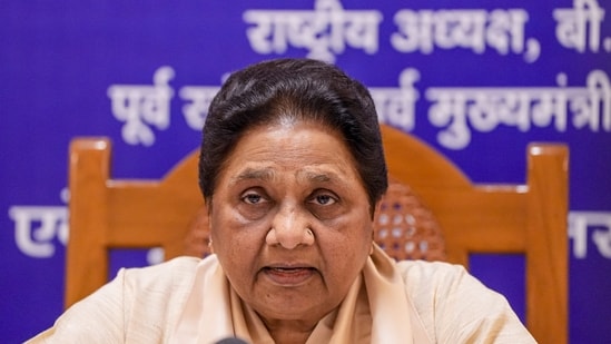 Bahujan Samaj Party (BSP) National President Mayawati asked the younger generation to not get caught up in politics. (PTI)