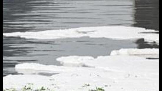 The concern comes as even the relatively cleaner stretch of the Yamuna between Palla and Wazirabad has recorded deterioration in key water-quality parameters, according to monthly reports of the Delhi Pollution Control Committee. (HT)