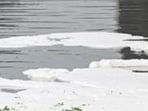 The concern comes as even the relatively cleaner stretch of the Yamuna between Palla and Wazirabad has recorded deterioration in key water-quality parameters, according to monthly reports of the Delhi Pollution Control Committee. (HT)