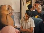 Mumbai local passengers let a sleeping dog enjoy a berth undisturbed, winning praise for their kindness.