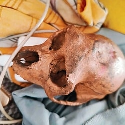 Passenger was scheduled to fly from Delhi to Hyderabad when the skull was detected during screening. (HT Photo)