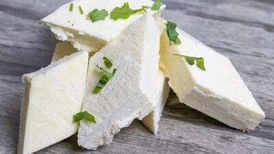 Madhya Pradesh became the fourth state to ban analog paneer as the government ordered inspections of factories and immediate seizure of the product. (for representational purpose only) Madhya Pradesh became the fourth state to ban analog paneer as the government ordered inspections of factories and immediate seizure of the product. (for representational purpose only)