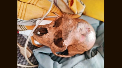 Passenger was scheduled to fly from Delhi to Hyderabad when the skull was detected during screening. (HT Photo) Passenger was scheduled to fly from Delhi to Hyderabad when the skull was detected during screening. (HT Photo)