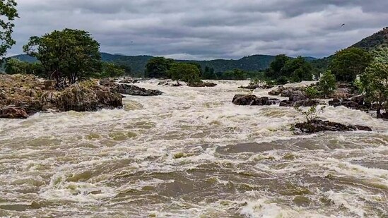 Erode: The Cauvery river overflows following heavy rains, in Tamil Nadu, Friday, Oct. 24, 2025. 55,000 cusecs of surplus water has been released into the Cauvery with authorities stepping up flood-preparedness measures. (PTI Photo) (PTI10_24_2025_000344B) (PTI)