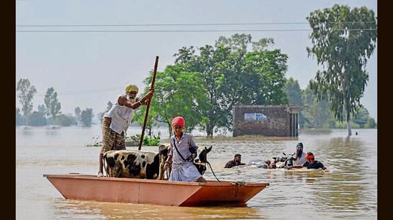 The projects have been proposed primarily to remove flood-deposited material, restore eroded land, and protect nearby habitations and agricultural fields. (HT)