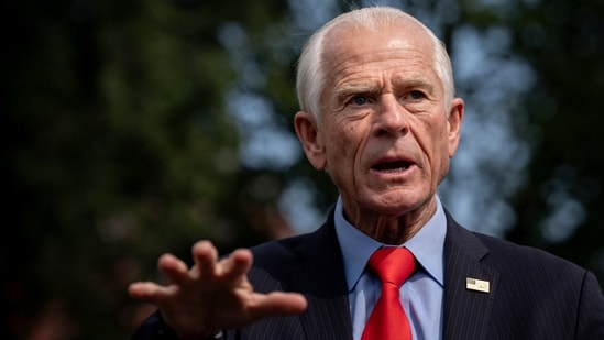 White House trade adviser Peter Navarro has been a vocal critic of India's trade policies involving Russia. (AP)