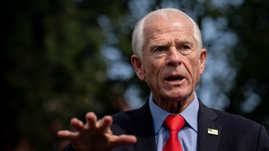 White House trade counselor Peter Navarro.