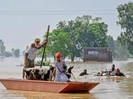 The projects have been proposed primarily to remove flood-deposited material, restore eroded land, and protect nearby habitations and agricultural fields. (HT)