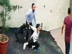 Woman suffers multiple injuries, undergoes surgery; cops begin FIR process. (HT)