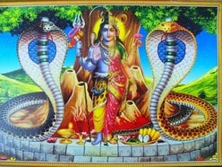 ২০২৬ নাগপঞ্চমী রয়েছে আগস্ট মাসে, দেখে নিন তারিখ, তিথি