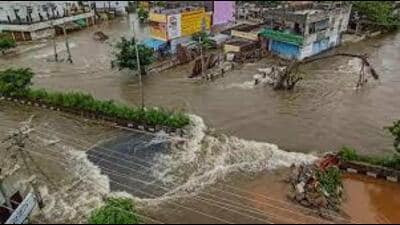 Agricultural land has also suffered damage. (HT Photo for representation) Agricultural land has also suffered damage. (HT Photo for representation)